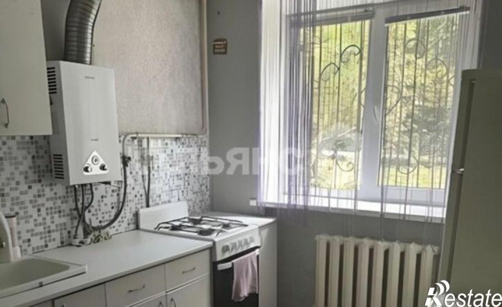 1-комн квартира ул Парковая, 50А,  д. 50А
